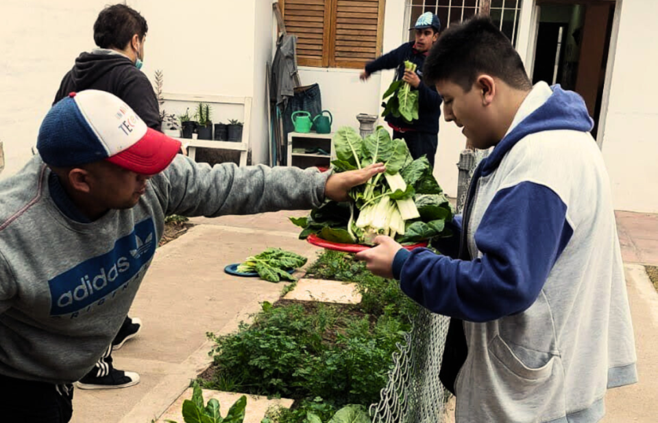 Taller de Huerta