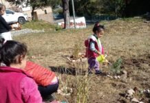 Gran evento de integración ambiental en el Centro vecinal de B° Providencia