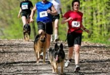 Este sábado se realiza el primer evento regional de Can Run