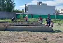 “Un lugar de encuentro y acción para los jóvenes” ganó el PPB