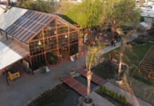 En el Mercado de Las Rosas crearon una “Granja Urbana Renovable”