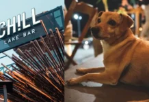 En Carlos Paz, un bar ofrece un menú “Pet friendly” especial para las mascotas