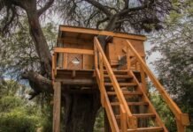 Aguas Antiguas: una nueva forma de experimentar la sustentabilidad