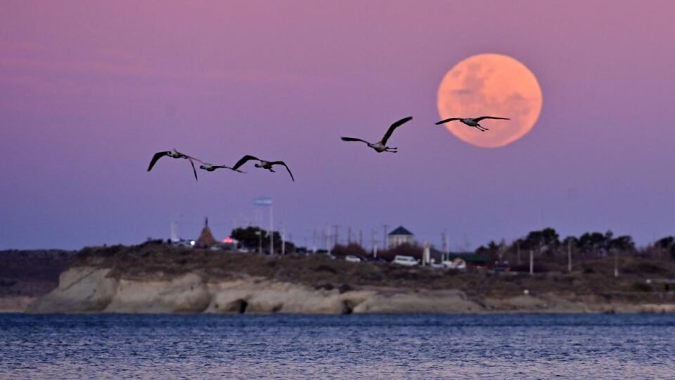 La luna llena, luminosa e impactante por el fenómeno del Esturión