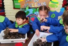 En el Jardín Pinceladas, los niños reciclan y cuidan el medio ambiente