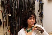 Mercado Felchi: encuentro de arte, diseño y sustentabilidad