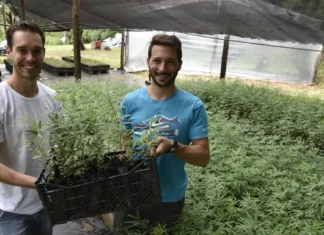 BAUM Fábrica de Árboles y la reforestación de Córdoba