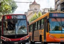 Este domingo el transporte urbano será gratuito