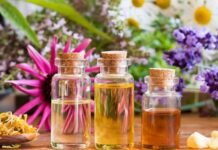 Descubriendo las Flores de Bach: Naturaleza y Bienestar Emocional