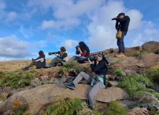 Avistajes, educación y preservación: conocé la Fundación Mil Aves