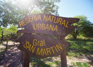 Importante reforestación junto a vecinos en la Reserva Natural San Martín