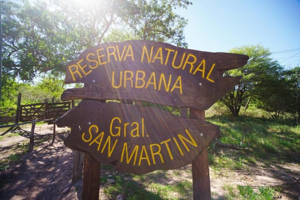 Importante reforestación junto a vecinos en la Reserva Natural San Martín