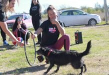 ¿Que nos dicen nuestros perros? El lenguaje canino y su importancia