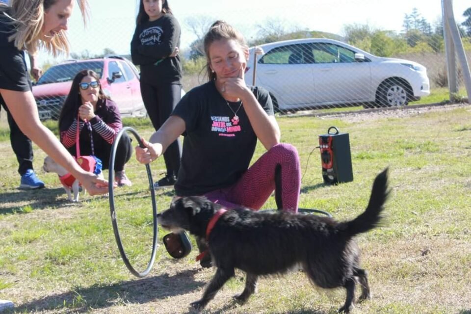 ¿Que nos dicen nuestros perros? El lenguaje canino y su importancia