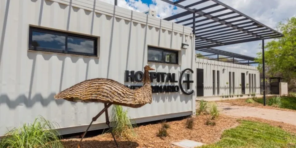 La Municipalidad avanza en la construcción del primer hospital hospital público de animales de la provincia
