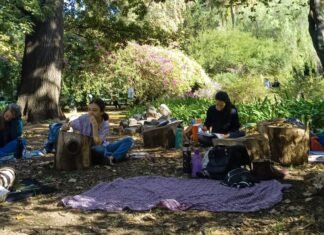 Participá del Taller de Dibujo Creativo en el Jardín Botánico