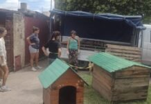 Milagros Perrunos necesita un “nuevo hogar” para seguir rescatando a perros de la calle