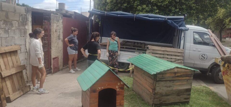 Milagros Perrunos necesita un “nuevo hogar” para seguir rescatando a perros de la calle