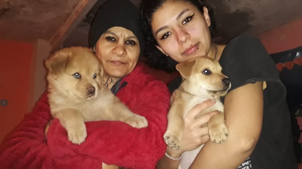 Desde hace 15 años, madre e hijas rescatan perros y gatos de la calle