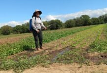 La labor silenciosa de las mujeres trabajadoras del campo