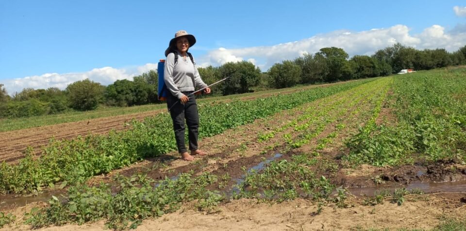 La labor silenciosa de las mujeres trabajadoras del campo