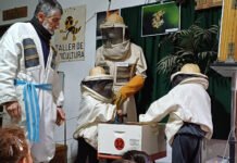 Api Didáctica: un viaje educativo al corazón de las abejas y la apicultura