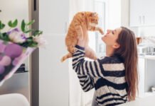 “Cat Café”: Una merienda para conocer y adoptar a Gatos en Córdoba