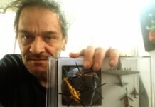 A pesar de su discapacidad visual, dicta cursos de Modelismo y organiza un concurso