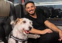 Flecha Bus permite viajar con mascotas mediante la propuesta “Familia Ampliada”