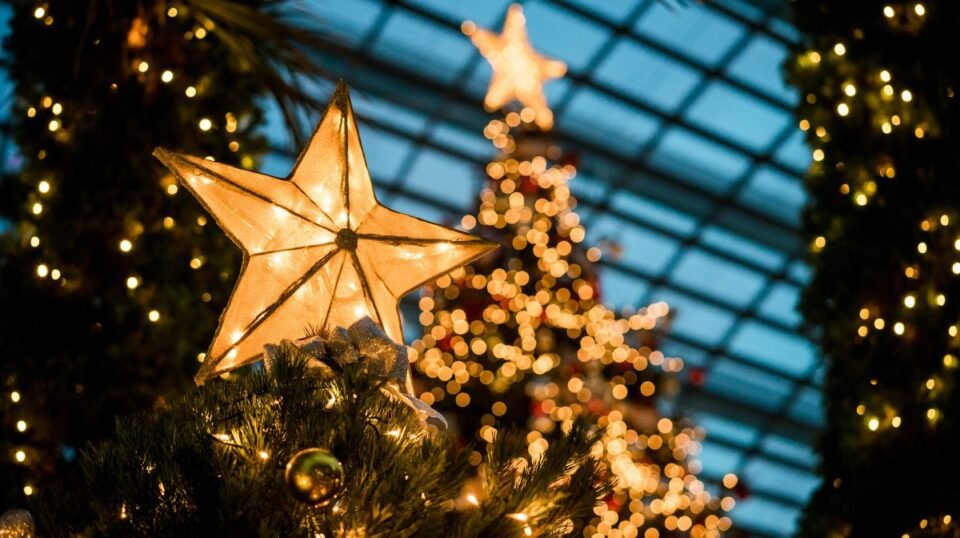 El Espacio de la Cervecería Córdoba recibe donaciones y voluntarios para una Navidad Digna