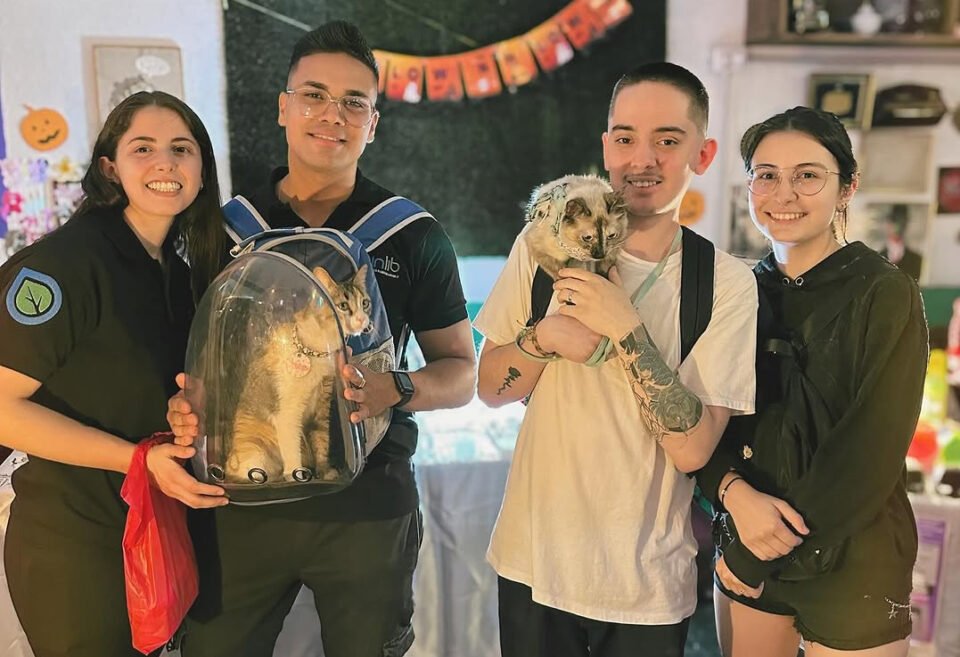 Este sábado se realiza la última “Juntada Para Michis” del año