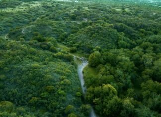 Finalizó la campaña para elaborar el Mapa de Cobertura Vegetal de Córdoba