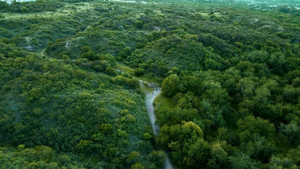 Finalizó la campaña para elaborar el Mapa de Cobertura Vegetal de Córdoba