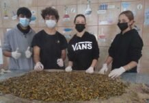 Alumnos de La Carlota obtuvieron reconocimiento internacional por su proyecto