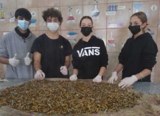 Alumnos de La Carlota obtuvieron reconocimiento internacional por su proyecto