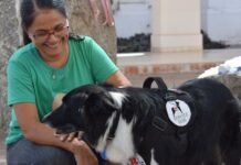 Josefina: la perra que ayuda a su dueña a controlar la diabetes