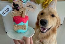 Thimo Snacks: Delicias artesanales para celebrar a tu mascota