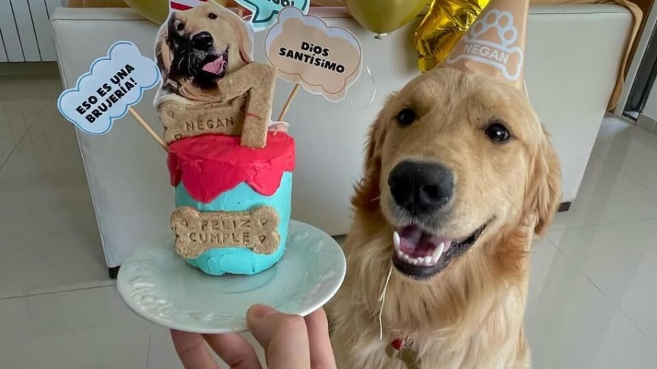 Thimo Snacks: Delicias artesanales para celebrar a tu mascota