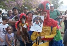 Club Salchichero Córdoba: Un desfile de patas, sonrisas y corazones solidarios