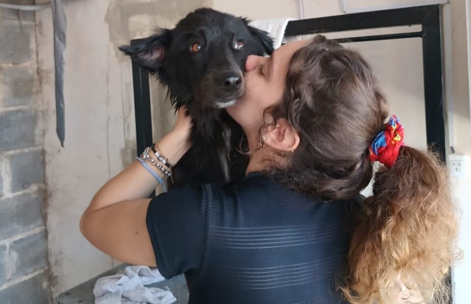 “En La Perruquería, cada mascota es única y merece el mejor cuidado”
