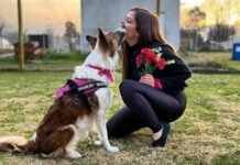 Fiorella y su perro Balto, del juego al Mundial de “dog dancing” en Italia