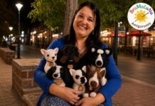 Tejer personajes, mascotas y sueños: la historia de BraMaLuNa Amigurumis