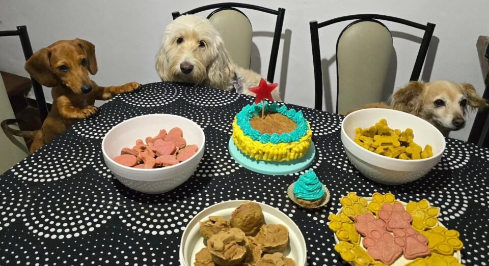 “Pininewen” transforma cada cumpleaños perruno en un festejo inolvidable