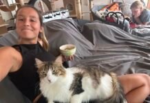 Viajó a Grecia para cuidar gatos rescatados y vivió una experiencia transformadora