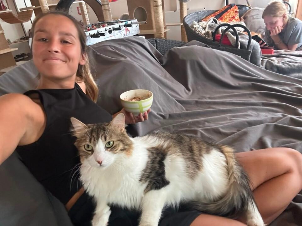 Viajó a Grecia para cuidar gatos rescatados y vivió una experiencia transformadora