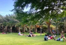 De Córdoba a Cabo Verde: la historia del creador del Pachamama Eco Park
