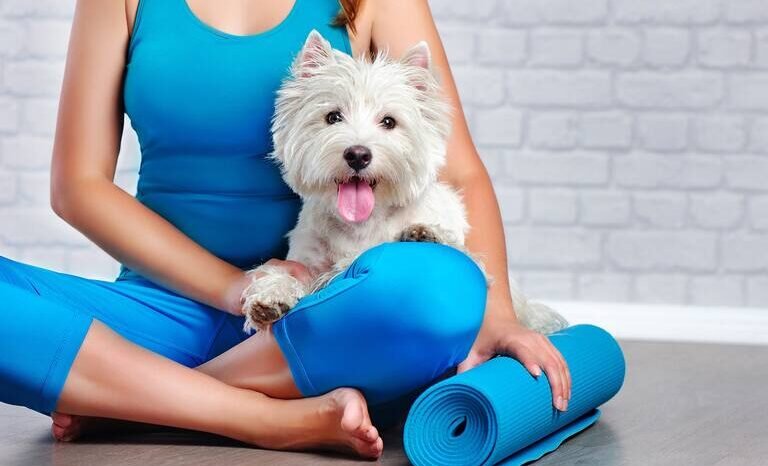 Un domingo para respirar: yoga entre cachorros y bienestar en La Calera